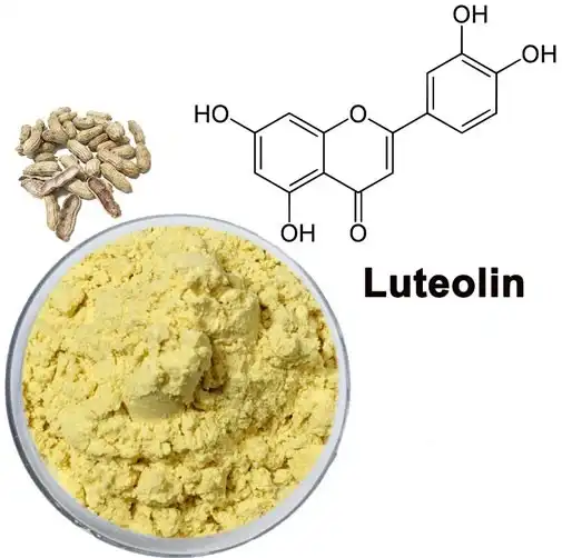 Does luteolin help with weight loss